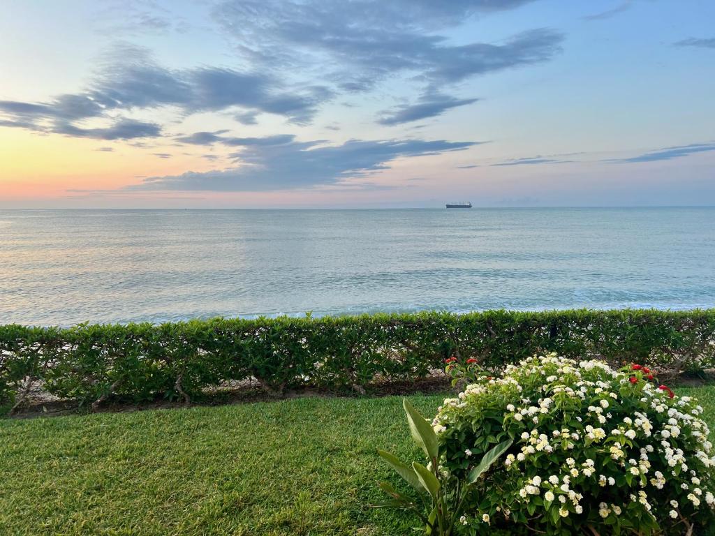 Vera Playa naturist beach, 5 metres from XPosure apartment